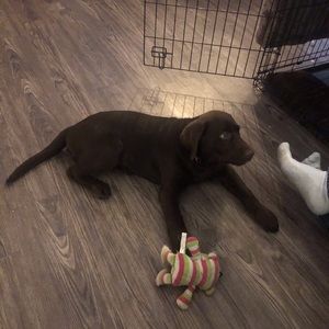 Meet your Posher, Debra